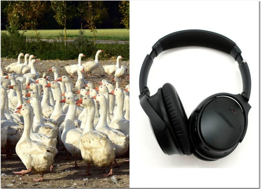 Why noise cancelling headphones don't block voices