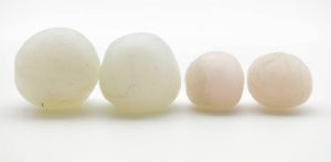 Silicone putty and wax earplugs have to be rolled into a ball