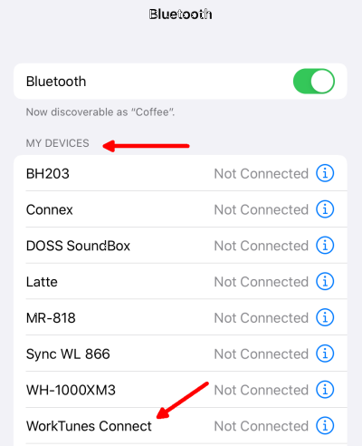 iOS-Bluetooth Paired Devices