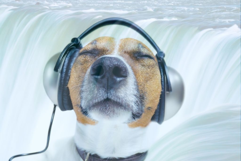 noise masking or noise cancelling or both